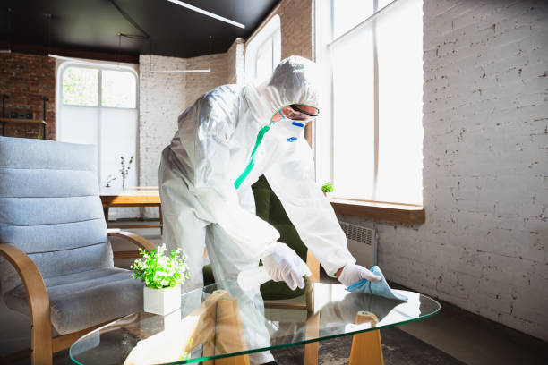 Why You Should Choose Our Mold Remediation Services in Nuevo, CA